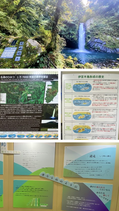 %e5%86%99%e7%9c%9f%ef%bc%91%ef%bc%95%ef%bc%9a%e6%b5%84%e8%93%ae%e3%81%ae%e6%bb%9d