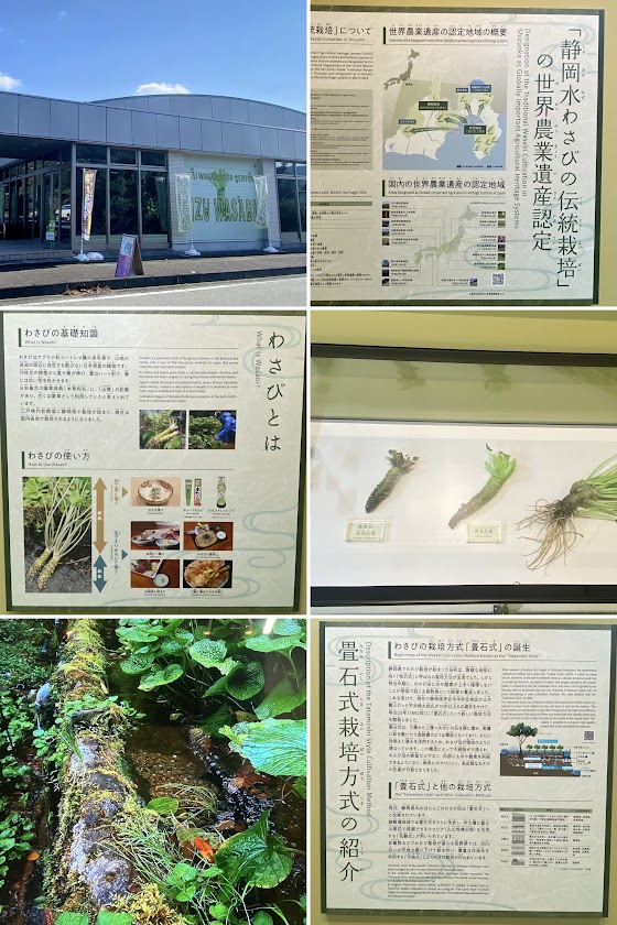 %e5%86%99%e7%9c%9f%ef%bc%91%ef%bc%93%ef%bc%9a%e4%bc%8a%e8%b1%86%e3%82%8f%e3%81%95%e3%83%93%e3%82%b8%e3%82%bf%e3%83%bc%e3%82%bb%e3%83%b3%e3%82%bf%e3%83%bc