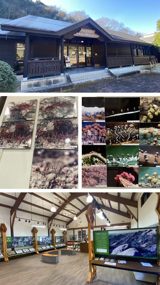 %e5%86%99%e7%9c%9f%ef%bc%92%ef%bc%94%ef%bc%9a%e3%81%b5%e3%82%8b%e3%81%95%e3%81%a8%e8%87%aa%e7%84%b6%e5%85%ac%e5%9c%92%e3%82%bb%e3%83%b3%e3%82%bf%e3%83%bc%ef%bc%88%e7%94%b0%e8%be%ba%e5%b8%82%ef%bc%89