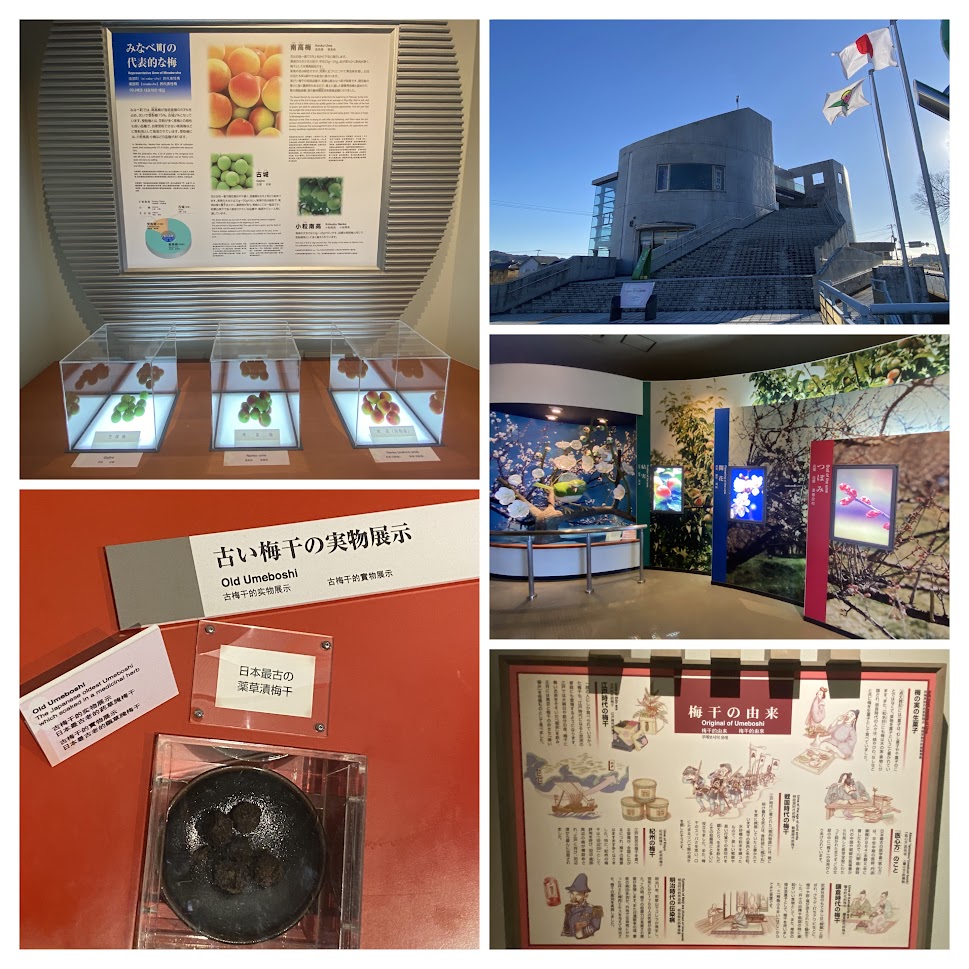 %e5%86%99%e7%9c%9f%ef%bc%92%ef%bc%97%ef%bc%9a%e9%81%93%e3%81%ae%e9%a7%85%e3%80%80%e3%81%bf%e3%81%aa%e3%81%b9%e3%81%86%e3%82%81%e6%8c%af%e8%88%88%e9%a4%a8