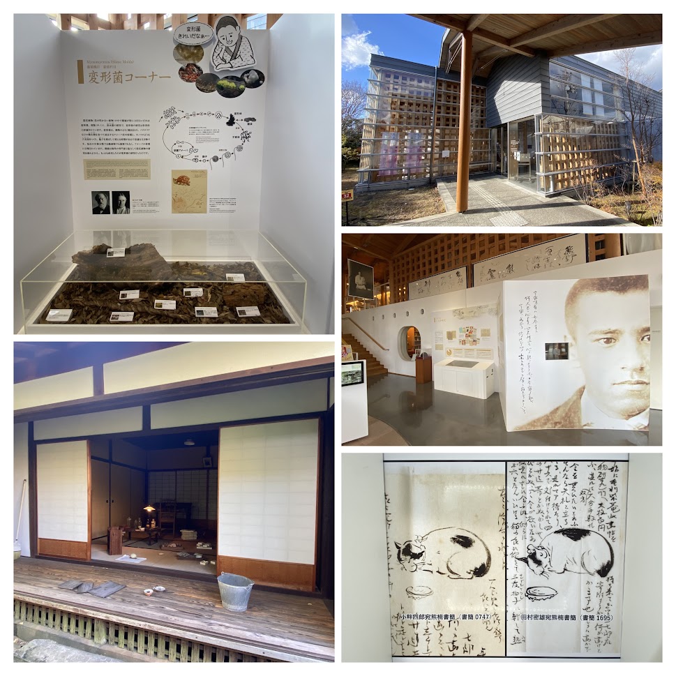 %e5%86%99%e7%9c%9f%ef%bc%92%ef%bc%91%ef%bc%9a%e5%8d%97%e6%96%b9%e7%86%8a%e6%a5%a0%e9%a1%95%e5%bd%b0%e9%a4%a8