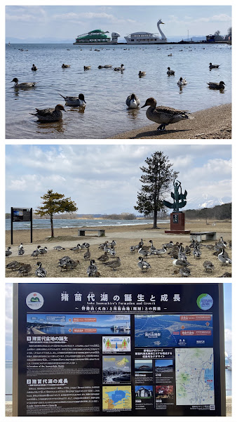 %e5%86%99%e7%9c%9f%ef%bc%91%ef%bc%92%ef%bc%9a%e7%8c%aa%e8%8b%97%e4%bb%a3%e6%b9%96