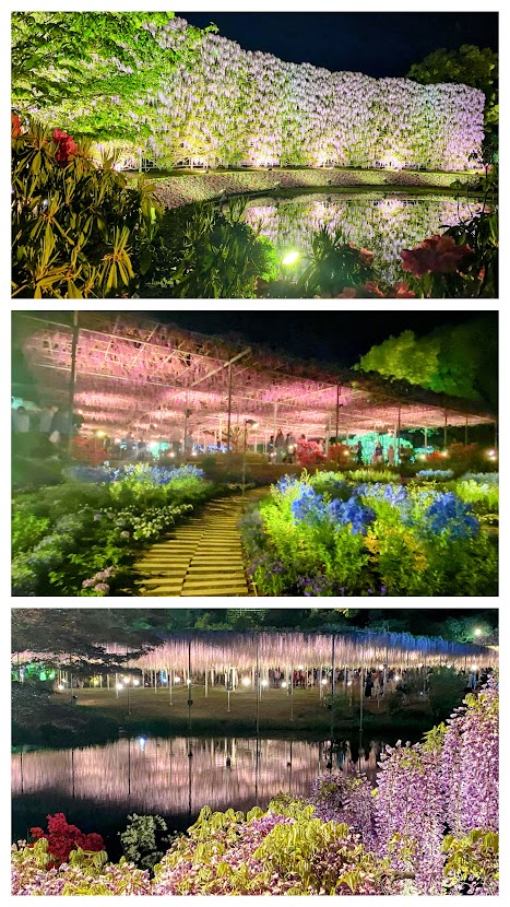 %e5%86%99%e7%9c%9f%ef%bc%92%ef%bc%93%ef%bc%9a%e3%81%82%e3%81%97%e3%81%8b%e3%81%8c%e3%83%95%e3%83%a9%e3%83%af%e3%83%bc%e3%83%91%e3%83%bc%e3%82%af%ef%bc%95