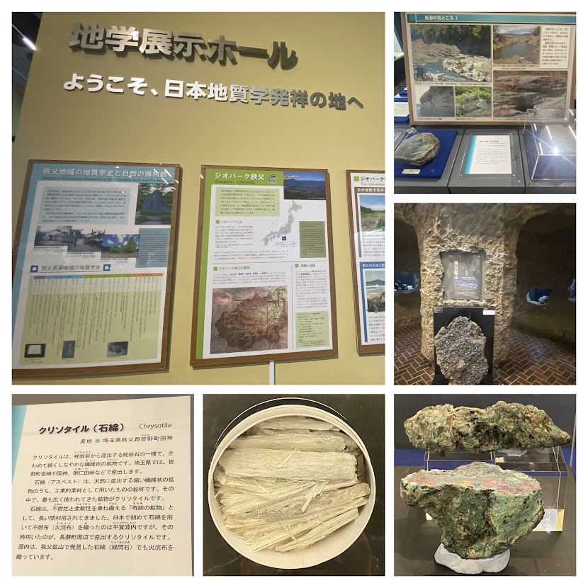 %e5%86%99%e7%9c%9f%ef%bc%91%ef%bc%96%ef%bc%9a%e5%9f%bc%e7%8e%89%e7%9c%8c%e7%ab%8b%e8%87%aa%e7%84%b6%e3%81%ae%e5%8d%9a%e7%89%a9%e9%a4%a8