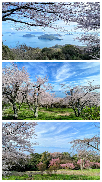 %e5%86%99%e7%9c%9f%ef%bc%95%ef%bc%9a%e7%b4%ab%e9%9b%b2%e5%87%ba%e5%b1%b1%e5%b1%b1%e9%a0%82%e5%85%ac%e5%9c%92