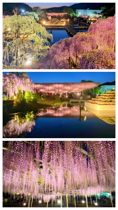 %e5%86%99%e7%9c%9f%ef%bc%92%ef%bc%92%ef%bc%9a%e3%81%82%e3%81%97%e3%81%8b%e3%81%8c%e3%83%95%e3%83%a9%e3%83%af%e3%83%bc%e3%83%91%e3%83%bc%e3%82%af%ef%bc%94